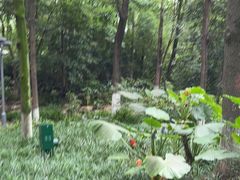 -成都市活水公园