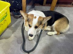 -阿尔法海鲜排档(爱琴海店)