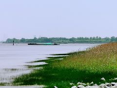 -上海吴淞炮台湾国家湿地公园