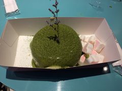 -狐狸和向日葵(北京路店)