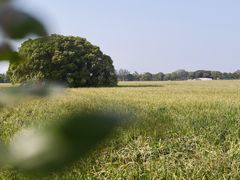 -嘉北郊野公园