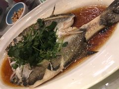 -同庆楼(花园店)