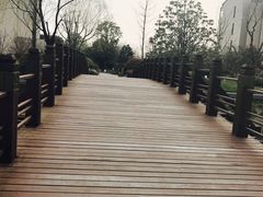 -上海崇明金茂凯悦酒店