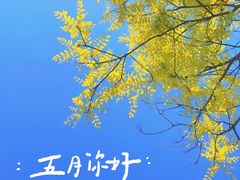 -武清南湖绿博园