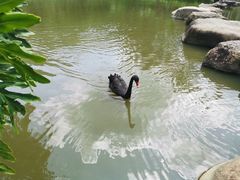 -呀诺达热带雨林