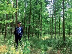 -黄海国家森林公园