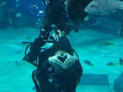 -福州罗源湾海洋世界旅游区