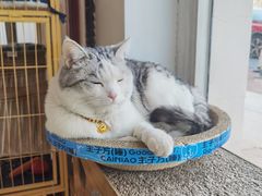 -青春加萌照相馆