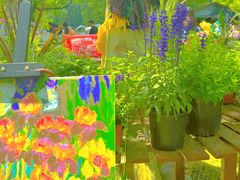 -上海共青森林公园