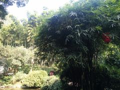 -杭州黄龙洞