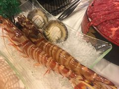 -鲜入围煮花胶鸡海鲜火锅