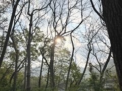 -青岛崂山太清宫