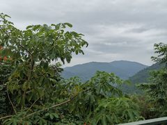 -呀诺达热带雨林