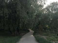 -元大都城垣遗址公园