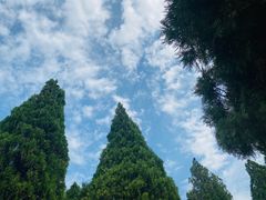 -龙口南山旅游景区