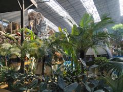 -沈阳龙润夏宫温泉水乐园