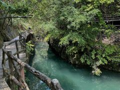 -石台牯牛降景区