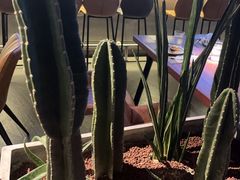 -West10 西拾·西餐厅·创意菜(未来科技城店)