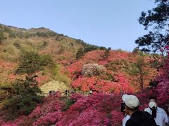 -木兰云雾山