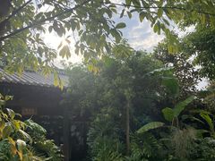 -腾冲洞山温泉村