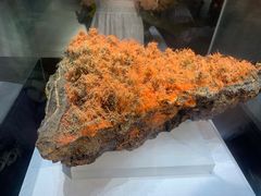 -湖南省地质博物馆