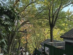 -狼山风景名胜区