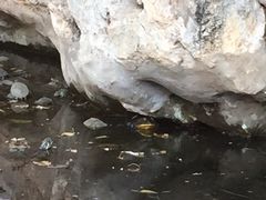 iphone_upload_pic-圆通禅寺