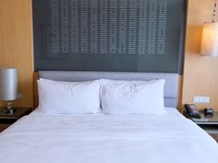 -青岛富力艾美酒店