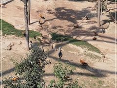-太原动物园