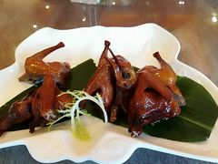 -新世纪大酒楼·30年南海菜