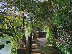 -广州市流溪河国家森林公园