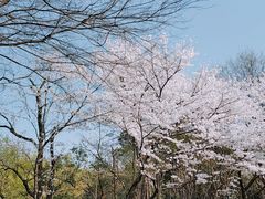 -梅园食堂
