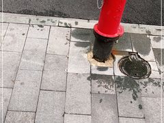 -阿娘面馆