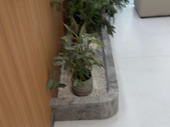-优诺口腔(华东总院)