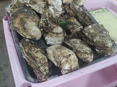 生蚝-友口福(大良店)