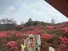 -木兰云雾山