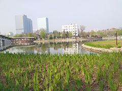 -西海子公园