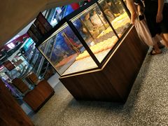 面包甜点陈列柜-LELECHA乐乐茶(上海五角场万达广场店)