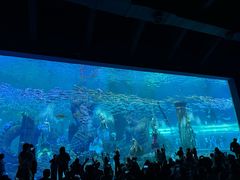 -哈尔滨波塞冬海底世界
