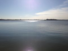 -武清南湖绿博园