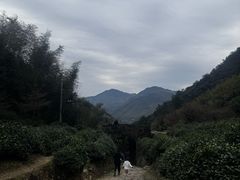 -仙霞关景区