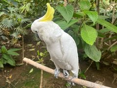 -南宫五洲植物乐园