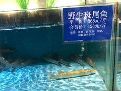 -都市阳光海鲜城(青山湖店)