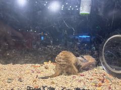 -太平洋海底世界