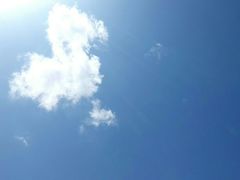 -华莱士·炸鸡汉堡(蓬莱汽车站店)