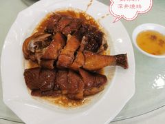 -姚林轩