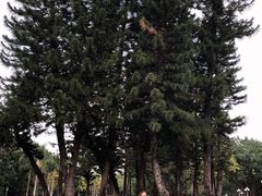 -人民公园(罗湖区)