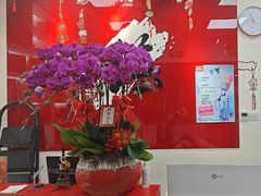 -尚想绘·艺术中考·中考咨询
