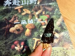 -一朵菌·野生菌探索家火锅(南亚店)