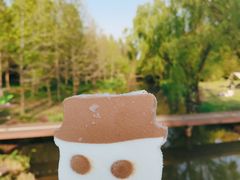 -上海滨江森林公园